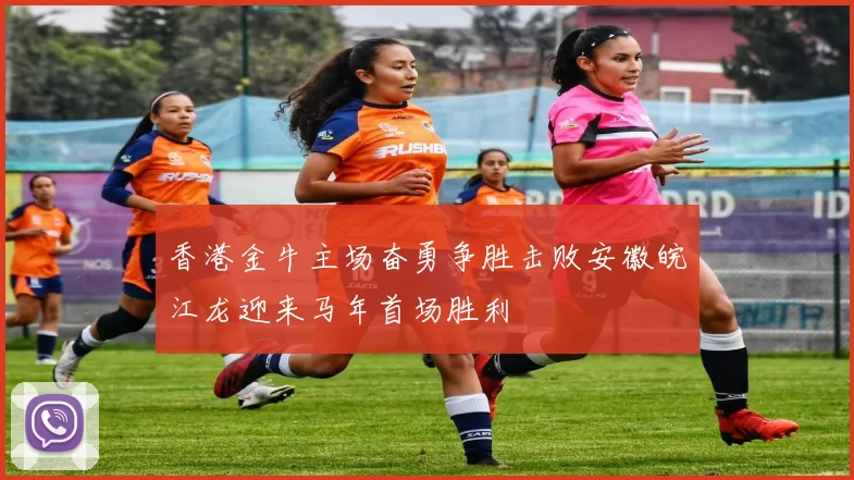 香港金牛主场奋勇争胜击败安徽皖江龙迎来马年首场胜利
